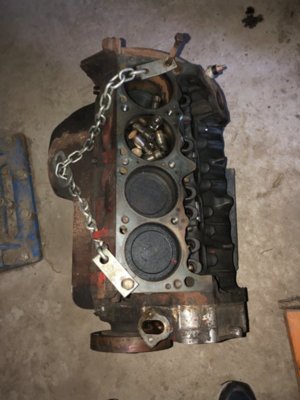 76DD226B-E875-436B-8A83-1CD865C0BAD6.jpeg 76DD226B-E875-436B-8A83-1CD865C0BAD6.jpeg