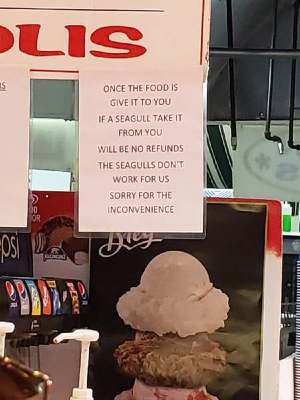 0ewpjkbd6y631.jpg