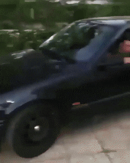 daily_gifdump_3101_08.gif