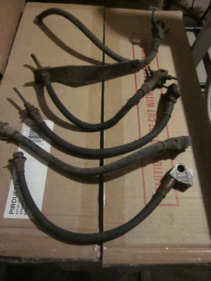 IMG_5542.JPG IMG_5542.JPG