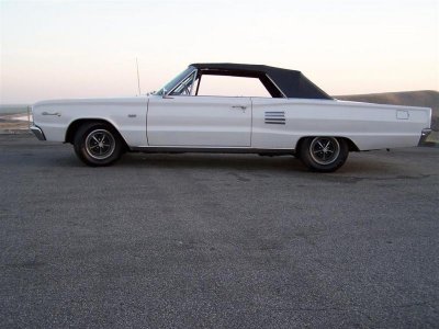 100_6226 (Large).jpg