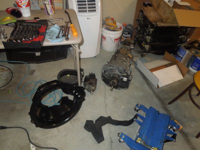 viper day222 0113.JPG viper day222 0113.JPG