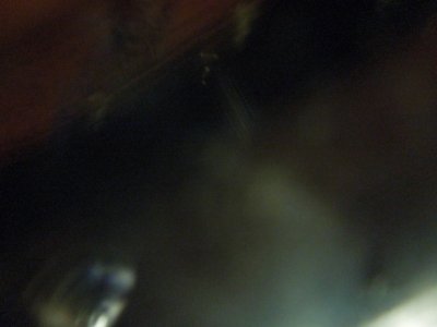 viper day 2DSCN558763.JPG viper day 2DSCN558763.JPG