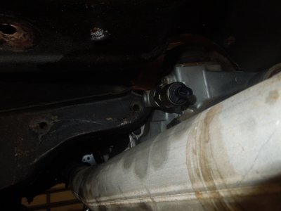 viper day 2DSCN558768.JPG viper day 2DSCN558768.JPG