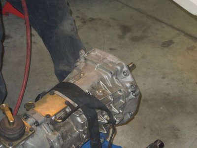 viper day 2DSCN558772.JPG viper day 2DSCN558772.JPG