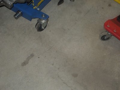 viper day 2DSCN558773.JPG viper day 2DSCN558773.JPG