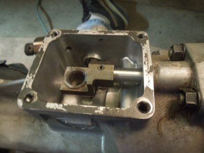 Viper day 3DSCN566309.JPG