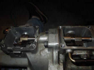 Viper day 3DSCN566310.JPG