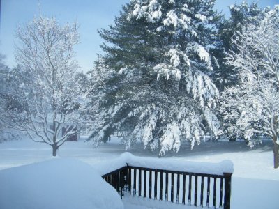 2012_12300001.JPG