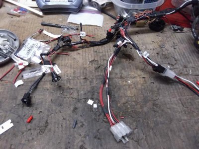 DSCF0242.jpg DSCF0242.jpg