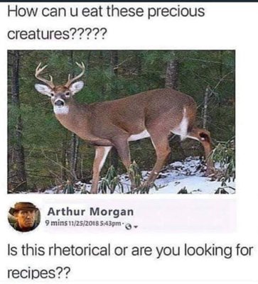 65164472_620792875106537_5331897917378658304_n.jpg