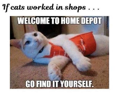 57404826_2631186080288284_3965195532304908288_n.jpg?_nc_cat=107&_nc_ht=scontent-lax3-1.jpg