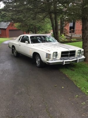 IMG_0630.JPG IMG_0630.JPG