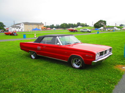 IMG_8033.JPG IMG_8033.JPG