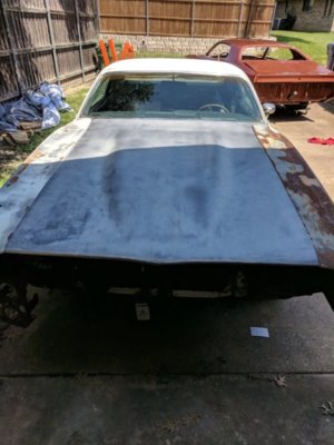 image000009.jpg image000009.jpg