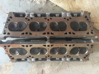 IMG_2984.jpg IMG_2984.jpg