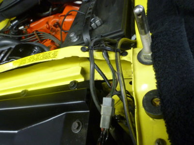 superbirdcleanup20182019 1125.JPG superbirdcleanup20182019 1125.JPG