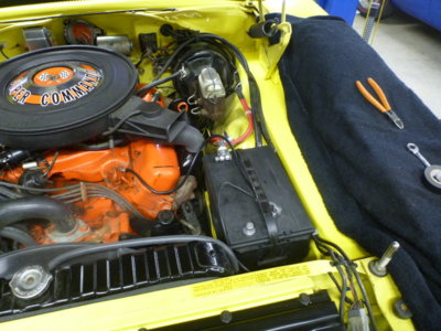 superbirdcleanup20182019 1127.JPG