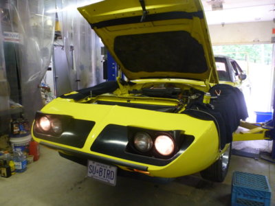 superbirdcleanup20182019 1129.JPG