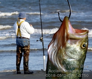 0018-0512-0917-3750_man_baiting_his_line_and_upclose_hooked_fish_catch_the_day.jpg
