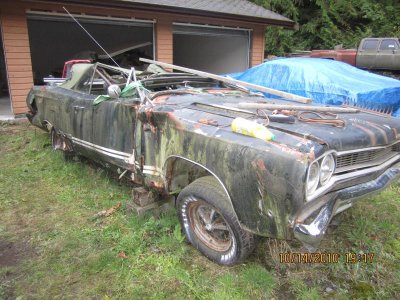 a mix of pics 519.jpg