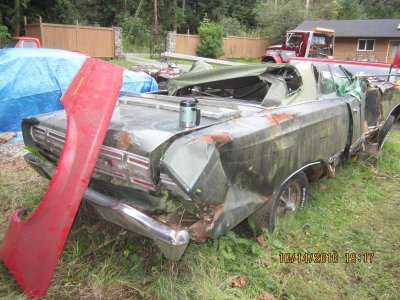 a mix of pics 521.jpg