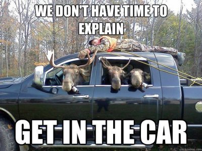 Deer Hunter.jpg