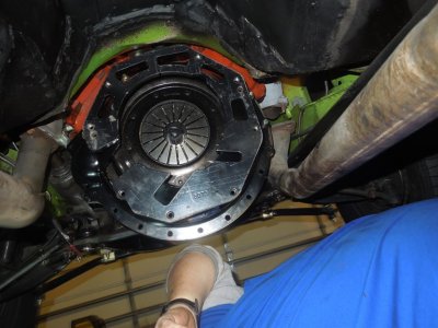 viper home DSCN588114.JPG