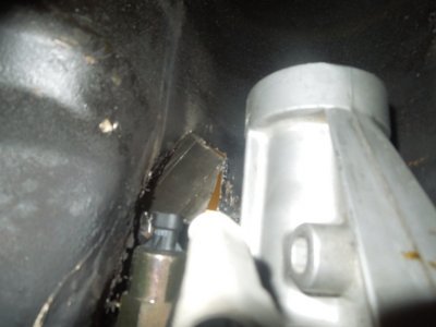 viper home DSCN588146.JPG