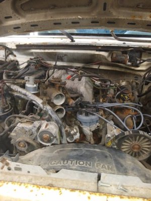 15635606154029033693578017600437.jpg 15635606154029033693578017600437.jpg