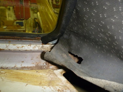 superbirdcleanup20182019 1439.JPG