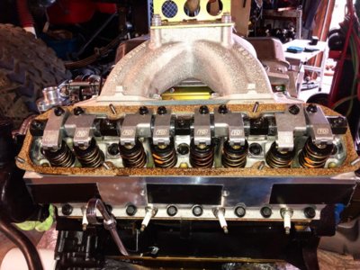 106078A3-0B3C-4B58-8891-4989B9C32692.jpeg 106078A3-0B3C-4B58-8891-4989B9C32692.jpeg