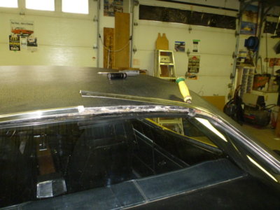 superbirdcleanup2019part2 237.JPG superbirdcleanup2019part2 237.JPG