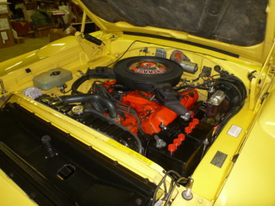 superbirdcleanup2019part2 311.JPG superbirdcleanup2019part2 311.JPG