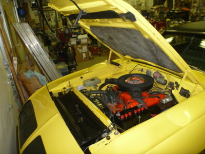 superbirdcleanup2019part2 316.JPG superbirdcleanup2019part2 316.JPG