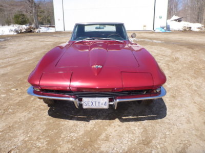 corvettecleanupspring2018 040.JPG corvettecleanupspring2018 040.JPG