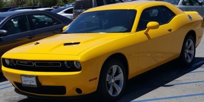 sxt 003.jpg