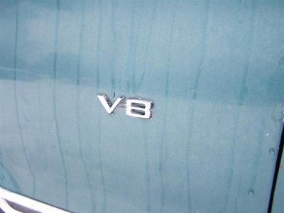 100_7271 (Large).jpg