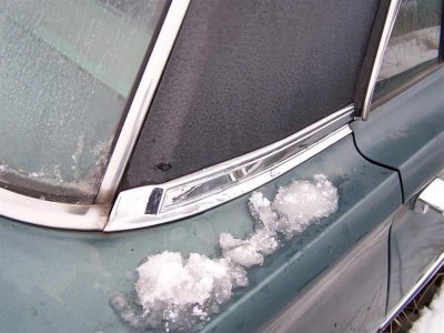 100_7277 (Large).jpg