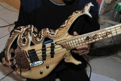 cool_guitars_07.jpg