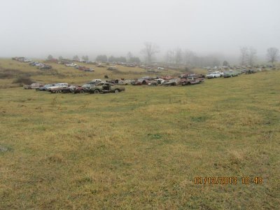 IMG_1551.jpg