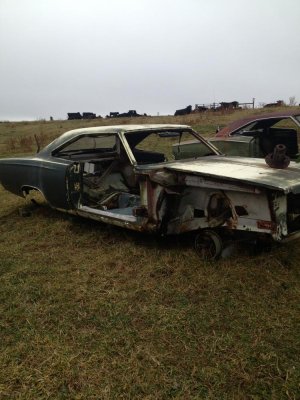 2013-01-12 12.08.34.jpg