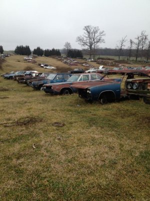 2013-01-12 12.12.48.jpg