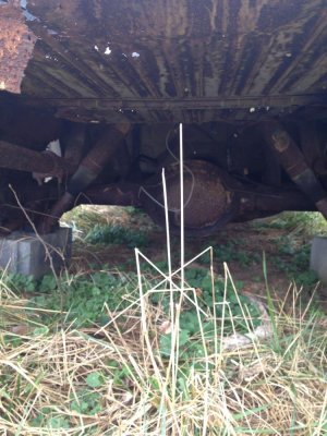 2013-01-12 12.18.07.jpg