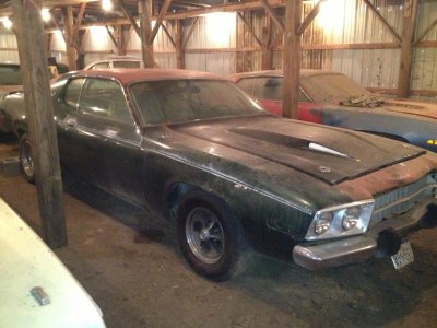 2013-01-12 12.25.13.jpg