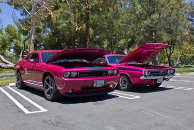 fuchsia-panther.jpg