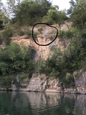 fullsizeoutput_13a4.jpeg fullsizeoutput_13a4.jpeg