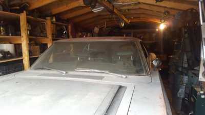20180913_104529.jpg