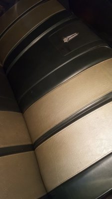 20180913_094201.jpg