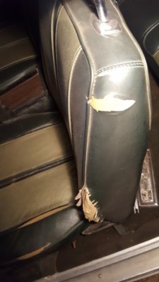 20180913_094216.jpg